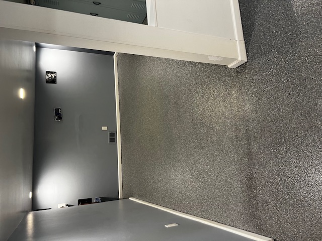 Basement Media Room